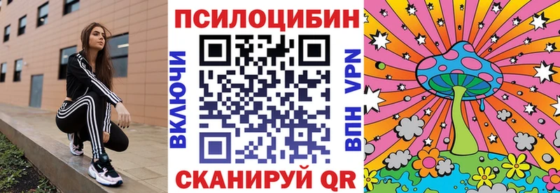 kraken рабочий сайт  Новоалтайск  Галлюциногенные грибы Psilocybine cubensis 
