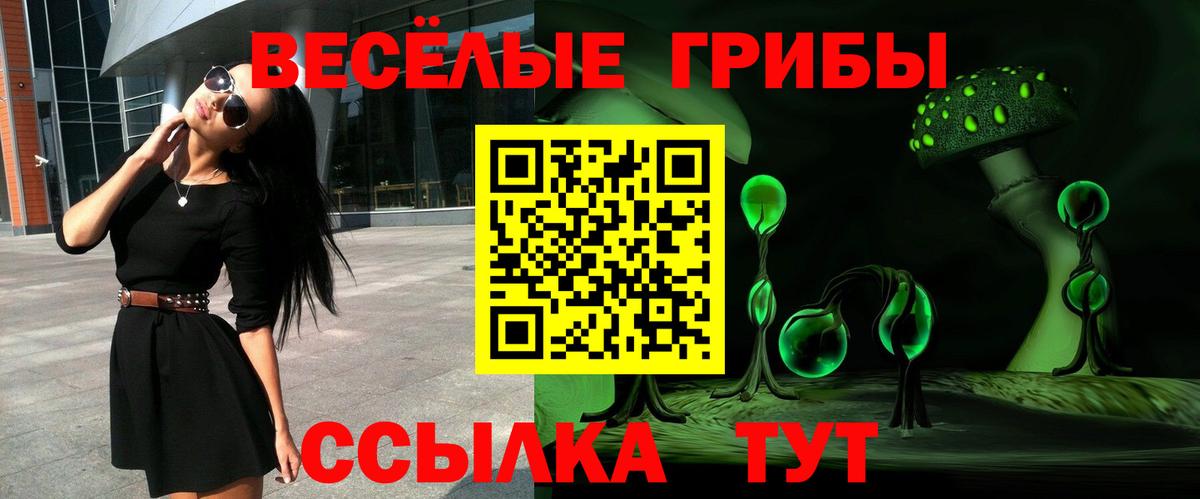 Новоалтайск  Галлюциногенные грибы ЛСД  Вход с VPN 